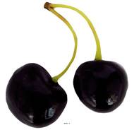 Cerise Burlat artificielle Par paire H 75 mm Superbe et rare