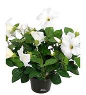Petunia artificiel en pot H 38 cm 20 fleurs lumineux Blanc neige