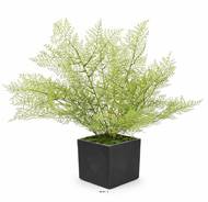 Asparagus artificiel en piquet 50 cm très dense extérieur