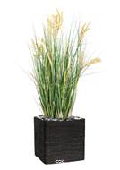 Isolepsis artificiel Graminée Papyrus scirpes H 90 cm en pot