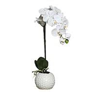 Orchidee artificielle crme 1 hampe en pot Ceramique Blanc H 46 cm