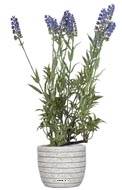 Lavande artificielle en pot H 40 cm 9 fleurs