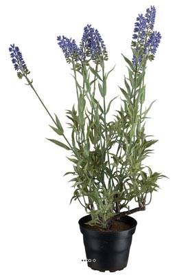 Lavande artificielle en pot H 40 cm 9 fleurs