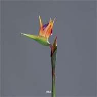 Strelitzia Arabica artificiel H 62 cm oiseau du paradis tête latex