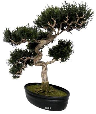 Bonsai artificiel Cedre H 43 X 40 CM 318 feuilles