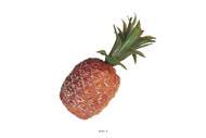 Ananas artificiel petite taille en Plastique souffl H 210x100 mm