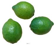 Citron vert artificiel en lot de 3 en Plastique soufflé H 80x60 mm