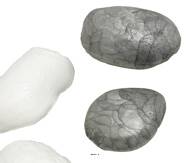 Assortiment de pierres en lot de 8 en Plastique soufflé L 80-100 mm