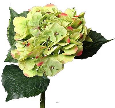 Hortensia artificiel en tige 1 tête 3 feuilles H 50 cm Top Vert-rose