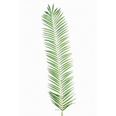 Feuille de palmier Cycas artificielle en tergal H 110 cm Vert