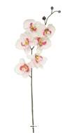Orchidée Phalaenopsis artificielle Zen, H 77 cm, 6 fleurons, Rose pâle