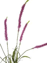 Veronique fleur factice H80cm 6fleurs superbe de réalisme Mauve violet