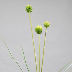 Fleurs d'oignon factices H80cm herbe en piquet plastique Jaune-vert