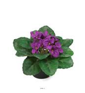Saint Paulia artificiel en pot H 16 cm très fleuri Mauve violet