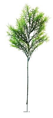 Asparagus Sprengeri en pic plastique artificiel vert H 42 cm aerien