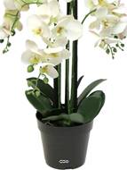 Orchidée Phalaenopsis factice en pot qualité déco H60cm Crème - BEST