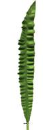 Feuille d'Asplenium artificielle, H 93 cm - BEST