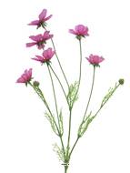 Cosmos artificiel en tige, H 92 cm Rose soutenu - BEST