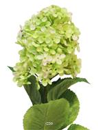 Lilas artificiel en tige, H 85 cm Crème vert - BEST