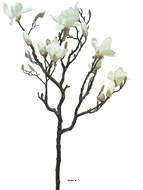 Fleurs de Magnolia artificiel en branche, H 128 cm Crème - BEST