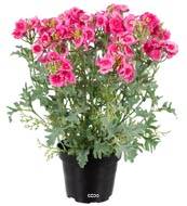 Verveine fleurie artificielle et feuillage en pot, H28 cm Rose soutenu