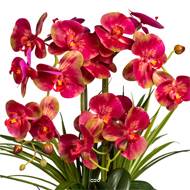 Orchidée factice 3 hampes vase céramique H58cm touché réel Rose beauty