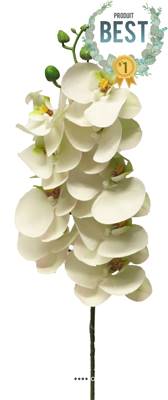 Tige orchidée phalaenopsis faux 9fleurons touché réel H77cm Crème-BEST