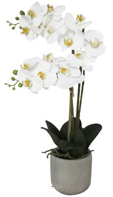 Orchidée phalaenopsis faux 2hampes 14fleurons en pot H60cm D20cm Crème