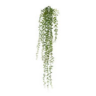 Chute de senecio artificiel Longueur 72 cm plastique