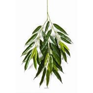 Branche de longifolia royal artificielle L 85 cm Vert
