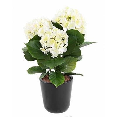 Hortensia artificiel 3 têtes en piquet pour extérieur H 45 cm Blanc