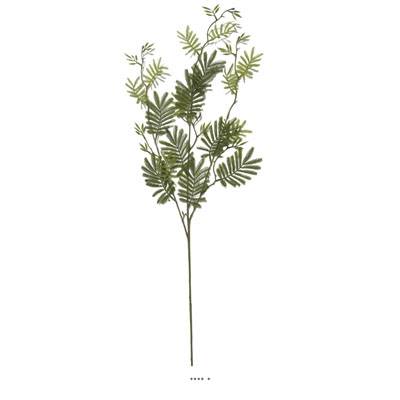 Branche de Mimosa artificiel artificiel H 105cm D 40 cm