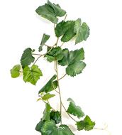 Guirlande de feuilles de vigne artificielle lg 230 cm en tissu Vert