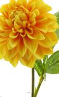 Fleur artificielle Dahlia H 48 cm – Une fausse fleur au réalisme saisissant Jaune