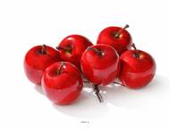 Mini pommes rouges D 3,5cm artificielles en bouquet de 6