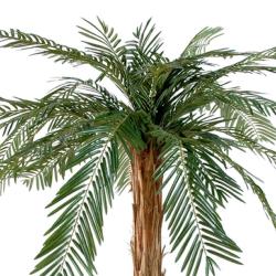 Palmier Artificiel Cycas en pot tronc Haut H 210 cm Vert