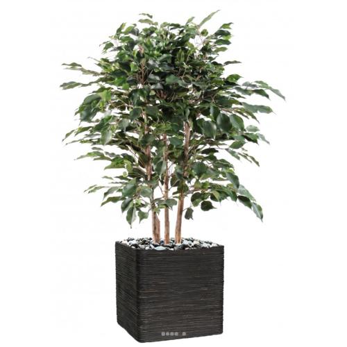 Ficus Exotica Artificiel H80 cm L60 cm en buisson tronc naturel en pot