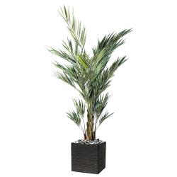 Palmier Kentia Artificiel Royal H 270 cm L 180 cm en pot