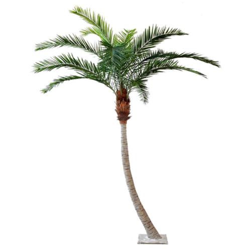 Palmier Phoenix Artificiel Courbe H340cm D210cm 11 palmes sur platine