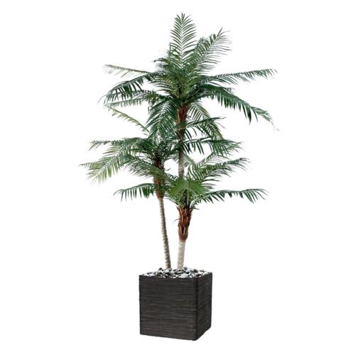 Palmier Phoenix Artificiel H 250 cm D 140 cm 38 palmes 3 troncs en pot