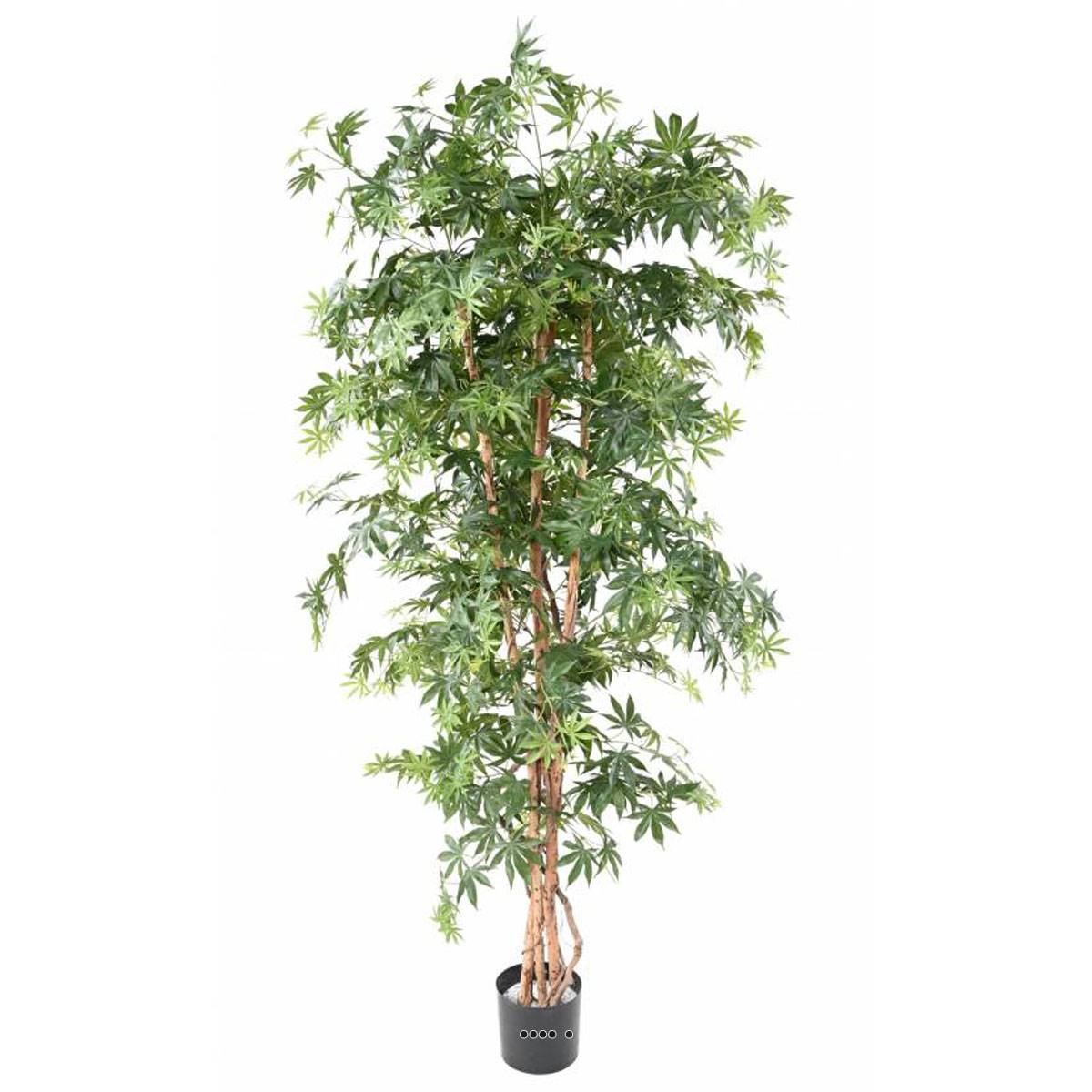 artificielles Aralia Arbre Artificiel| Artificielles.com
