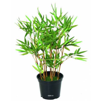 Bambou Artificiel finition mousse verte H 60 cm Vert