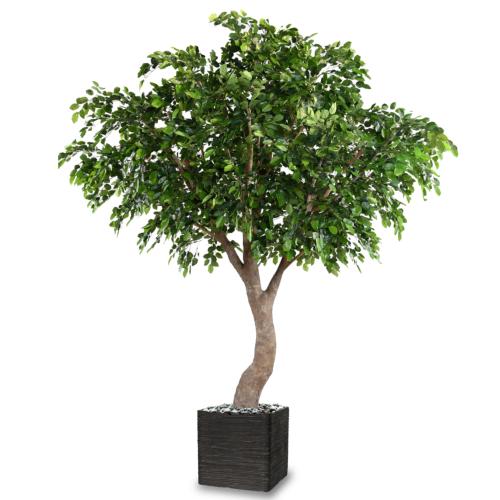 Hêtre Artificiel H 360 cm D 280 cm 8850 feuilles en pot