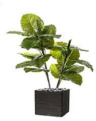 Syngonium artificiel en pot 2 troncs 19 grandes feuilles H 120 cm