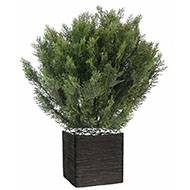 Cyprès artificiel buisson en pot anti-UV pour extérieur H 90 cm Vert