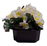 Vasque Carrée de Primevères fleurs artificielles pour le cimetière H 13 cm Lg 17 cm Blanc neige