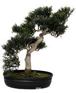 Bonsai artificiel Arbre a The 40 X 40 CM 217 feuilles