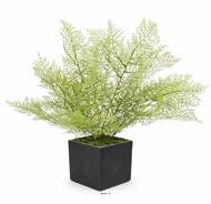 Asparagus artificiel en piquet 50 cm très dense extérieur