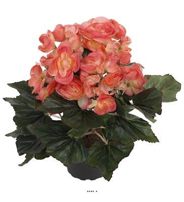 Begonia artificiel en pot H 28 cm superbe qualité Orange-crème