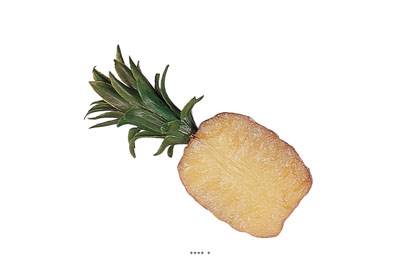 Demi Ananas artificiel petit modèle en Plastique soufflé H 210x100 mm